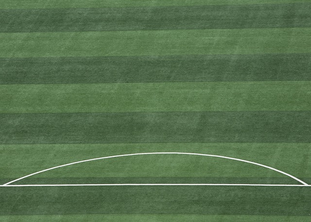 （新春走基层）从草原走上国际赛场的业余冰上龙舟队.