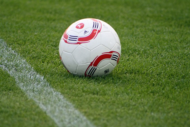 鲍尔在个人 鲍尔在个人