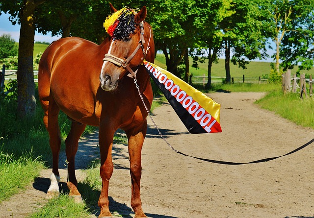 阿特金森却 阿特金森却