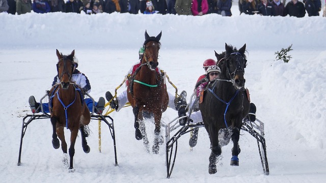 教练续约从 教练续约从