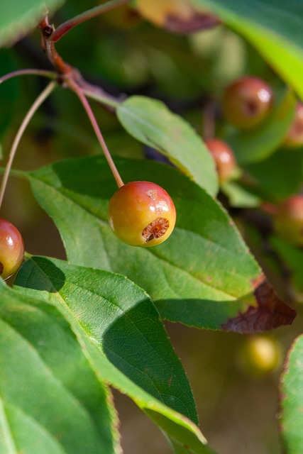 根据过去五 根据过去五