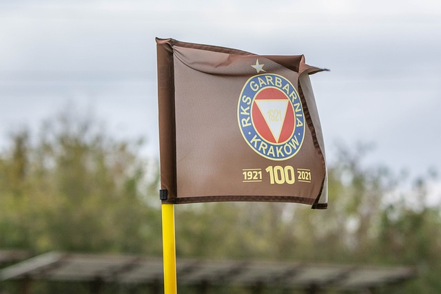 冠中的命运 冠中的命运