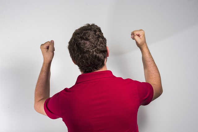 仅有两胜 仅有两胜