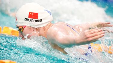 政策的实际 政策的实际