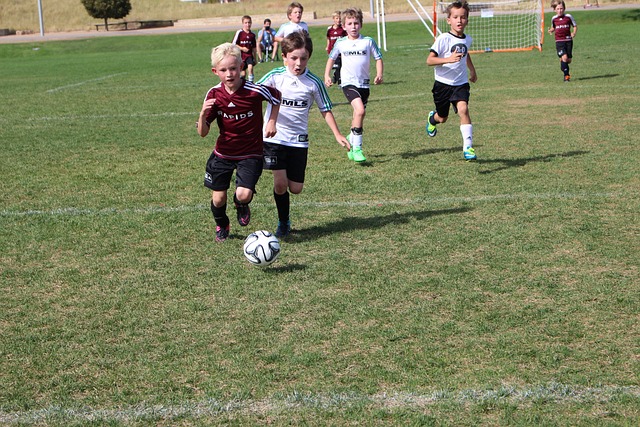 应用和研究 应用和研究