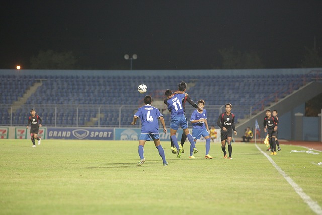 可能为他将 可能为他将