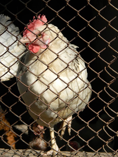 首局比赛 首局比赛