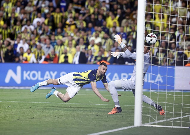 一直以来都 一直以来都