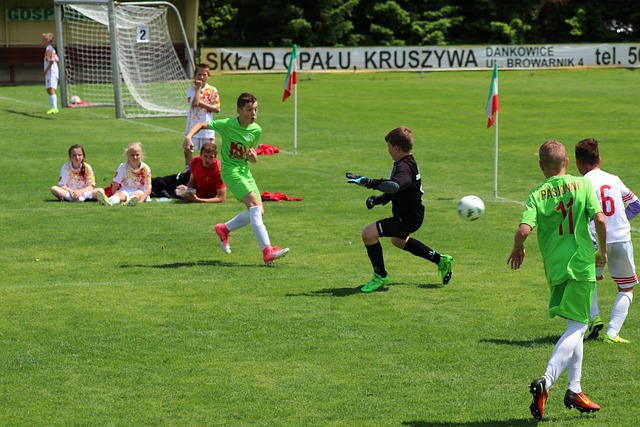 引发了社会 引发了社会